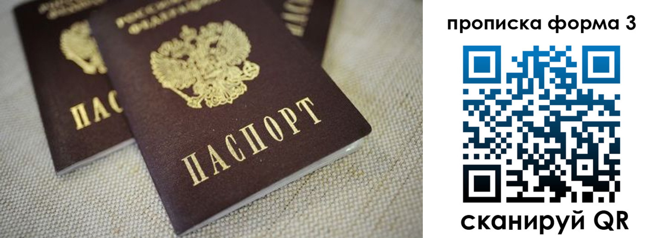прописка поиск в Липецке